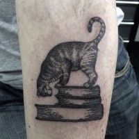 Tatuagem de antebraço de estilo original desenhada de gato com livros