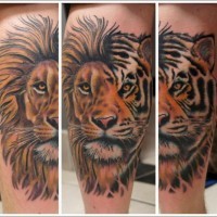 Originale Hälfte des Löwen Hälfte des Tigers Tattoo am Bein