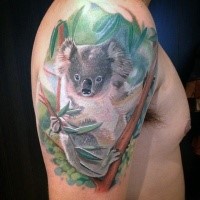 Original very detailed shoulder tattoo of cute koala on tree
