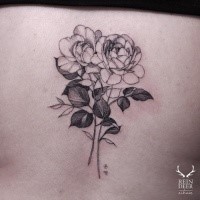 Outline style black ink back tattoo of sweet roses by Zihwa