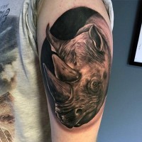 Oval shaped rhinoceros 3D realistic lifelike photo wildlife tattoo on shoulder