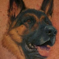 Painted ink german shepherd tattoo