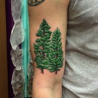 Pair of bright green pine trees detailed biceps tattoo
