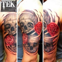 Pair of human skulls and red roses new style traditional arm tattoo