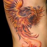 Phoenix bird tattoo
