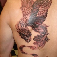 Phoenix tattoo on shoulder blade for men