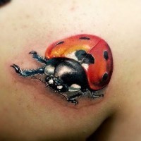 Photo Realistic ladybug tattoo on shoulder