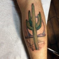 Picture style colored tattoo of desert cactus with sun