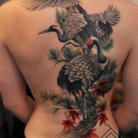 Tatuaje en la espalda, dos grullas preciosas