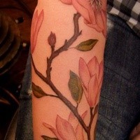 Pink colored illustrative style arm tattoo of big flowers branch