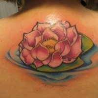Tatuaje en la espalda,
loto lindo en el agua