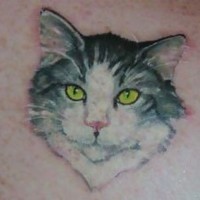 Tatuaje de retrato de gato gris bonito