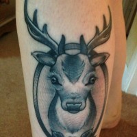 Portrait of a deer tattoo