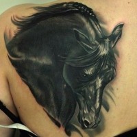 Portrait of black horse tattoo on shoulder blade