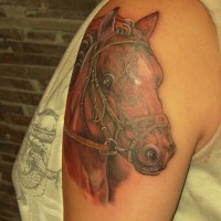 Portrait of racehorse tattoo on half sleeve