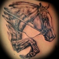 Portrait of racehorse tattoo