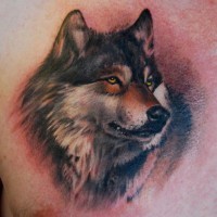 Tatuaggio colorato la testa del lupo