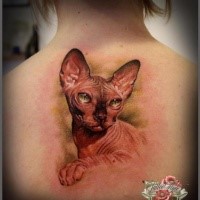 Portrait style colored back tattoo of Egypt cat