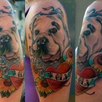 Portrait style colored shoulder tattoo of big dog with heart and lettering