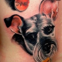Portrait style colored tattoo of beautiful dog with lettering