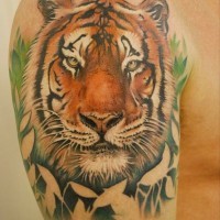 Tatuaje en el brazo, retrato de tigre en la heierba
