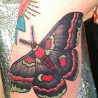 Pretty colourful moth tattoo on leg