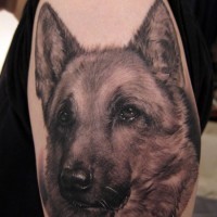Pretty interesting german shepherd tattoo for man