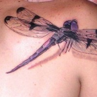 Purple dragonfly tattoo on shoulder blade