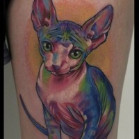 Tatuaje en el muslo,  gato esfinge bonito de varios colores
