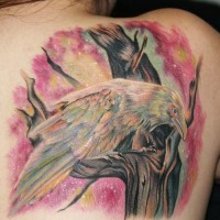 Tatuaje en el hombro, cuervo en la rama, dibujo milticolor
