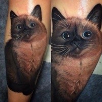 Tatuagem colorida do retrato do estilo de vida real do gatinho