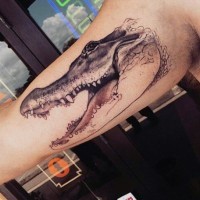 realistico foto nero e bianco realistica testa di alligatore tatuaggio su braccio
