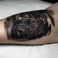 Real photo like black ink biceps tattoo of rhino head
