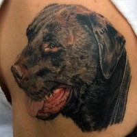 Real photo like colored old sad dog tattoo on arm top