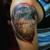 Tatuaje en el brazo, águila linda orgullosa