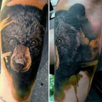 Tatuaje en el brazo,  retrato de oso pardo bonito