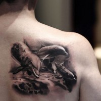 Real photo like little black and white dolphins tattoo on shoulder