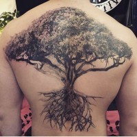 Prächtiges detailliertes schwarzes und weißes Tattoo am ganzen Rücken mit Baum