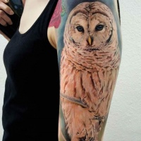 Real photo like marvelous  looking detailed shoulder tattoo white owl