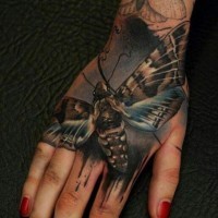 Real photo like multicolored hand tattoo of big night butterfly