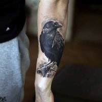 realistico foto molto dettagliato nero e bianco corvo tatuaggio su braccio