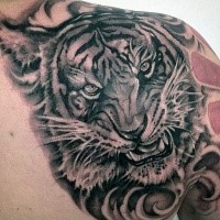 Realism style black and white angry tiger tattoo on shoulder