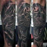 Realism style black and white forearm tattoo of tiger face