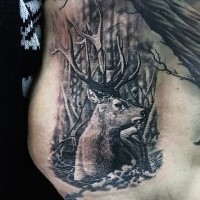 Realism style black ink belly tattoo of deer in dark forest