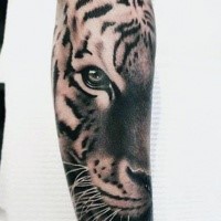 Realismus Stil schwarzes Tigergesicht Tattoo am Unterarm