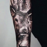 Realism style black ink wonderful painted sleeve tattoo of deer in forest
