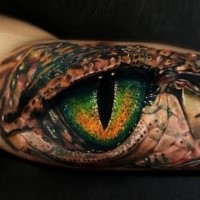 Realism style colored and detailed biceps tattoo of alligator eye