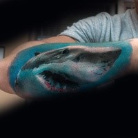 Realism style colored arm tattoo of swimming shark