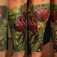 Realism style colored arm tattoo of gorgeous cherries