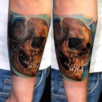 Realism style colored arm tattoo of very detailed human skull